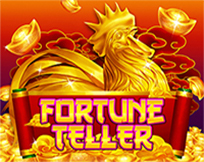 FORTUNE TELLER Playstar